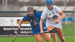 Kildare camogie suffer comeback defeat to Roscommon