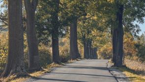 O’Dowd announces road improvement scheme at B192 Foreglen Road, Claudy