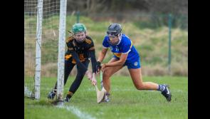Tipperary minors continue winning ways in All-Ireland championship win over Cats