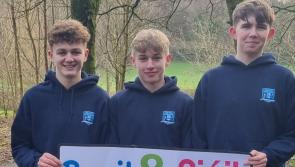 Laois secondary schools team up for ‘Buail agus Siúil’ 