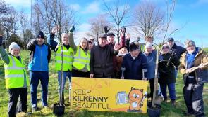 Keep Kilkenny Beautiful celebrate Tree Week