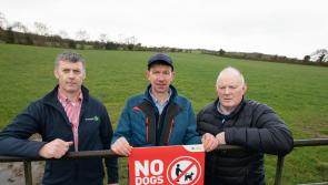 Action demanded in Laois and other counties to stop dog carnage