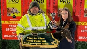 Shelone Glory held the winning hand in Signet Ace 500 at Brandywell