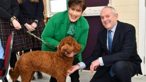 REVIEW: Minister receives huge welcome during three-stop Kilkenny visit
