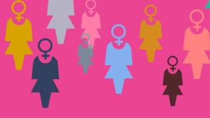 Foyle Women's Information Network's 30th Birthday