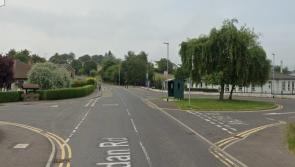 Culmore dog dirt raising concern