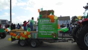 Offaly community champion to be honoured on St Patrick's Day