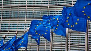 Carlow local added to ticket for European Parliament Ireland South Constituency