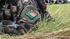 Former Defence Forces member jailed for sex assault of sister and assault of partner