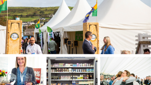 Calling all Derry producers: Entries open for Blas na hÉireann, Irish Food Awards