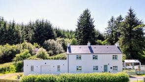 PICTURES: Stunning renovated Leitrim cottage with plenty of charm could sell for just €220k