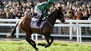 “Hewick’s Big Heart Could Win Him Cheltenham Gold Cup”  High praise for Carlow trainer's horse