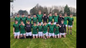 Brilliant quality on show as North Tipp defeat Mid Tipp in Roger Ryan Hurling Final