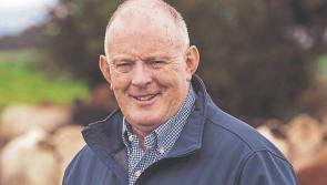 CSO figures highlight major concerns around price volatility