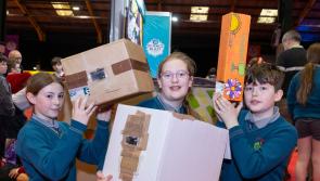Offaly students present amazing science projects at big RDS event