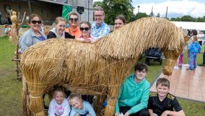 Have you unwanted teddies? Laois Scarecrow Fest town wants to hear from you