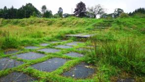 Suspected rat poison found at same grounds where dead sparrowhawk was discovered