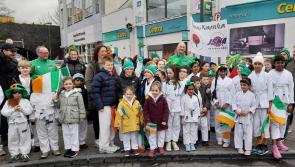 WATCH: The Kilkenny Karate Club entertain the masses at St Patrick's Day Parade