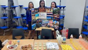 Laois school celebrates over 25 different nationalities in the community 