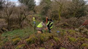 Archaeological survey done on ancient fort found in Co Derry