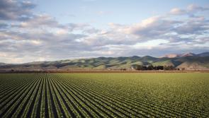 Extension of liming scheme a practical move
