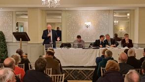 IFA leader calls on Laois farmers 'sold by Fine Gael and Fianna Fáil'  to join nationwide protest 