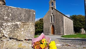 Council can't comply with Judge's call to cut Laois landmark where tourist died