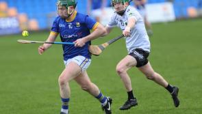 Longford hurlers fail to reach league final as Warwickshire come out on top 
