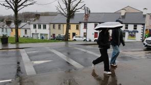 'I don't know if courtesy crossings are worth the tar they are written on' - Flynn