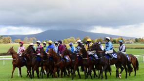 Horse racing meeting in Tipperary has been postponed for a week