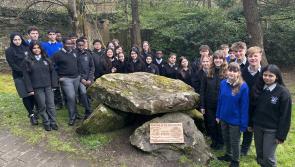 Watch:  Errigal College welcomes Letterkenny's first fairy garden