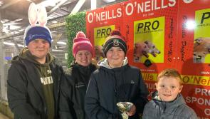 Derry Greyhounds: Cals Range was all the rage at Brandywell