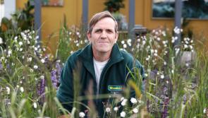 Laois garden designer launches budding gardener campaign