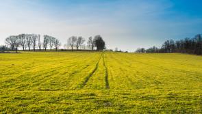 €80,000 to develop and upgrade outdoor recreation projects in Leitrim