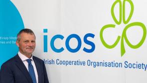 Tipperary based ICOS president Edward Carr calls for farm support due to ‘dire weather situation’ 