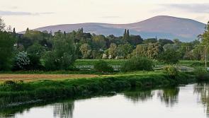 Be Suir to remember it - water means everything to the sport of rowing  in Tipperary