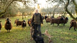 Film and sound project that explores food, farming and climate crises comes to Kilkenny