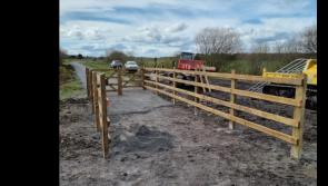 Significant amount of timber fencing stolen from well known Tipp tourism site