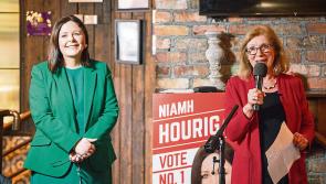 Limerick academic kicks off bid for European elections