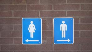 Friends of Rossnowlagh says there is renewed urgency for permanent toilets
