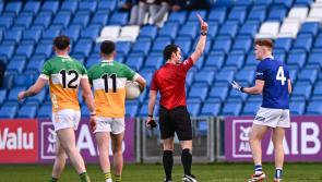 Impressive Offaly let their football do the talking in long awaited win over 14 man Laois