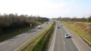 Taoiseach Simon Harris to seek 'urgent update' on M20 Limerick to Cork road project