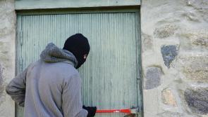 Carlow Gardaí investigate brazen early morning burglary by multiple men in Hacketstown 