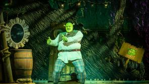 Shrek The Musical taking Derry by storm