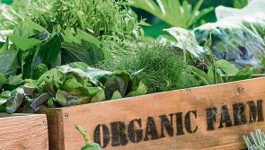 Green public procurement now includes 10% organic target