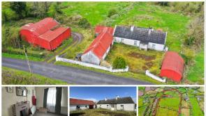 PICTURES: Longford cottage on eight acres with 'substantial' road frontage for under €140k