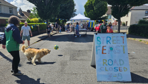 President Michael D encourages Waterford neighbours to host parties on the street this May