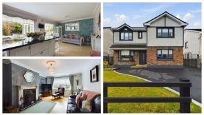 PICTURES: Incredibly maintained large family available in Carlow with gorgeous back garden