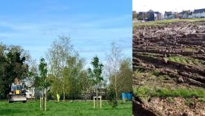 Repair works begin at the Closh in Kilkenny City 
