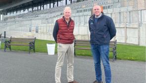 The Curragh racecourse welcomes Infinite Energy as new race sponsor